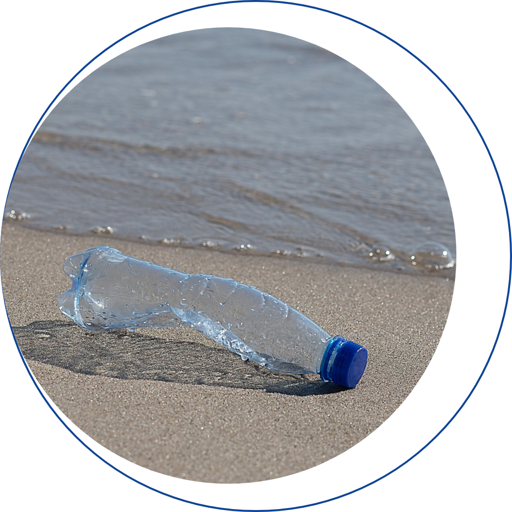 Territoires ultramarins et insulaires